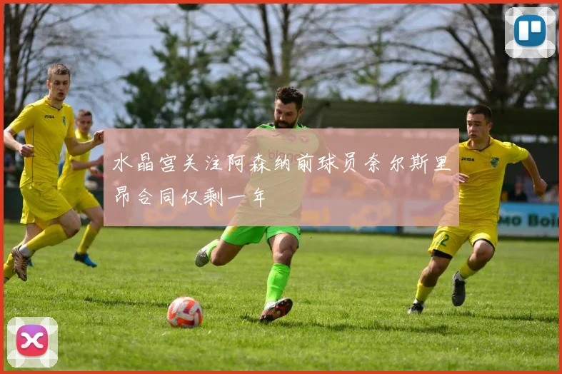 水晶宫关注阿森纳前球员奈尔斯里昂合同仅剩一年